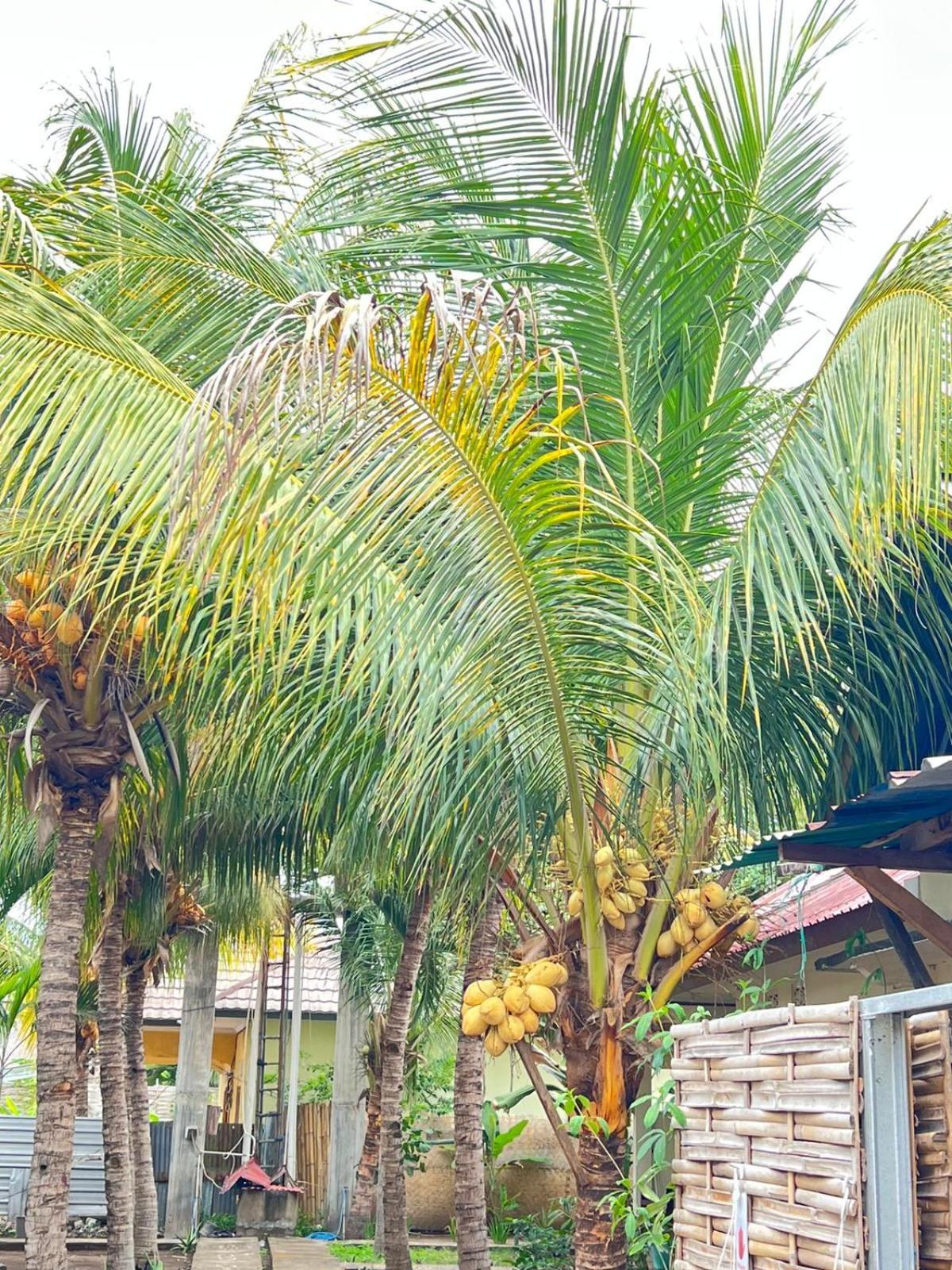 Bias Bungalows Gili Air Kültér fotó