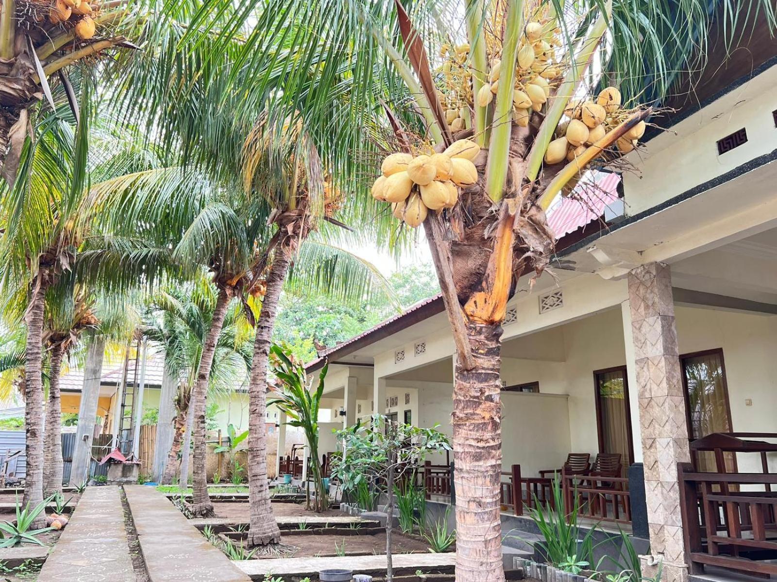 Bias Bungalows Gili Air Kültér fotó